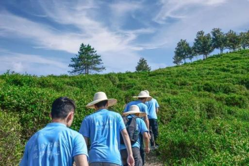 大學(xué)生“返家鄉(xiāng)”實踐團活動