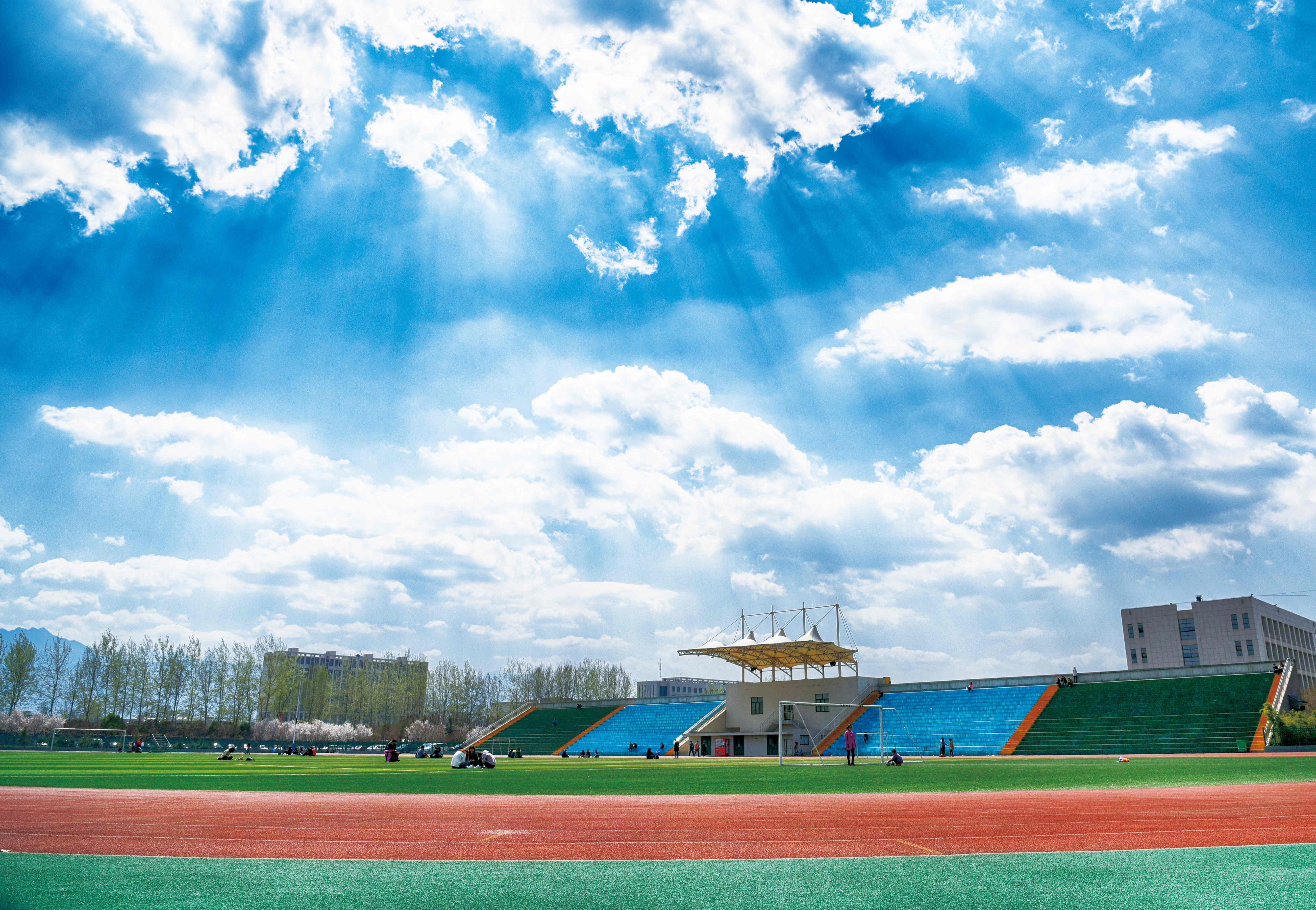 我們的運(yùn)動(dòng)場(chǎng)