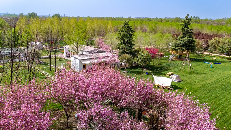 我們的綠林農(nóng)場(chǎng)