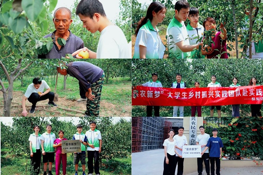 384b4f881075cf8814f7aa25c8979e5