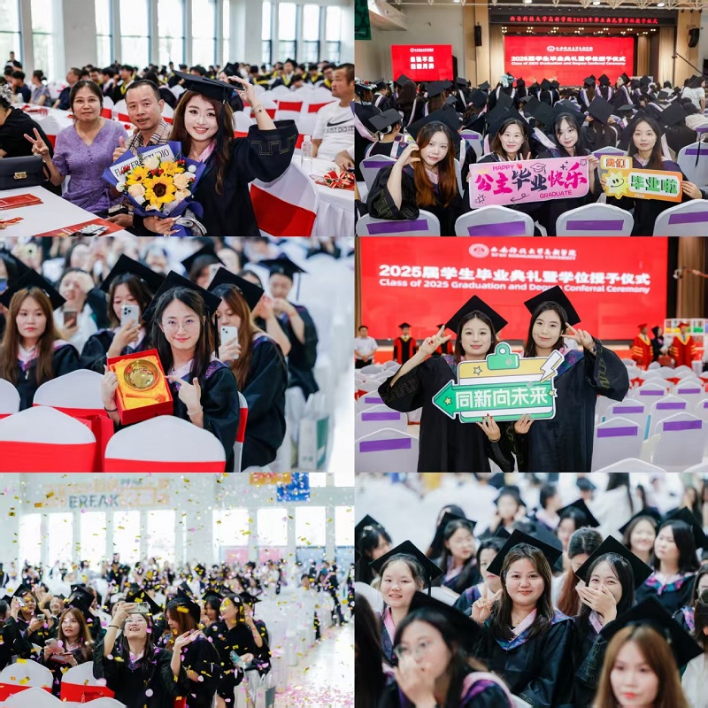 1b3d3ec23c24930816dfb7da660a872